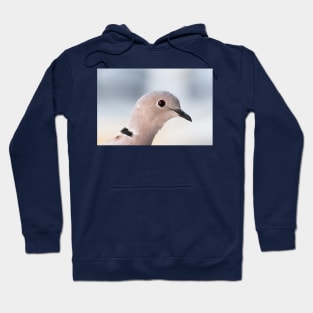 Island Dove Hoodie